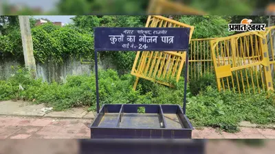 राजगीर में लाखों के डॉग फीडर बने शोपीस, न भोजन मिल रहा न पानी; आवारा कुत्तों की समस्या बरकरार
