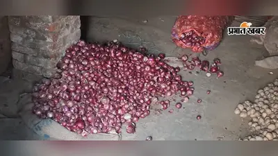 सीवान में प्याज की कीमतों में उछाल, 13 अगस्त से लगातार बढ़े दाम; खुदरा बाजार में 55 रुपये किलो तक पहुंचा भाव