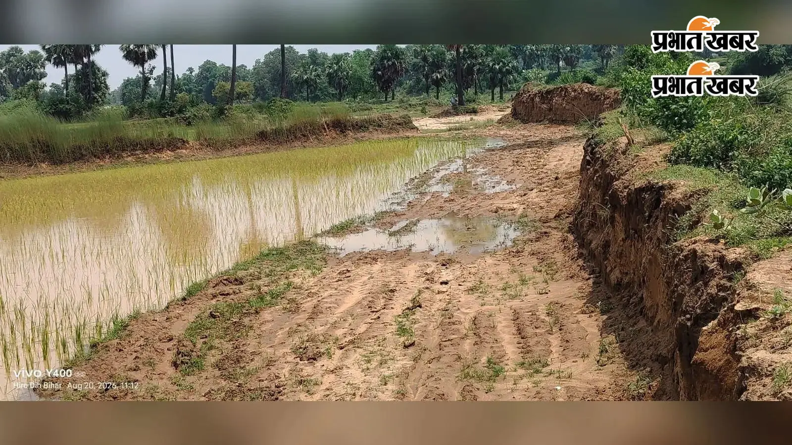 बलिया बुर्जुग में गड्ढे, कीचड़ और जलजमाव से बदहाल सड़क, राहगीरों की बढ़ी परेशानी, हादसे के बाद भी नहीं हुई मरम्मत