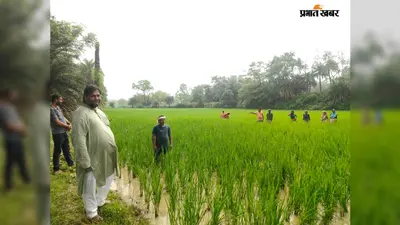 पहले खुद अपनाया, अब किसानों को देंगे सीख; 22 एकड़ में जैविक खेती का प्रयोग