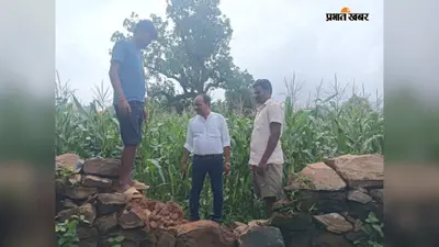 हाथियों के झुंड ने मचाया उत्पात, फसलें रौंदी; युवक बाल-बाल बचा
