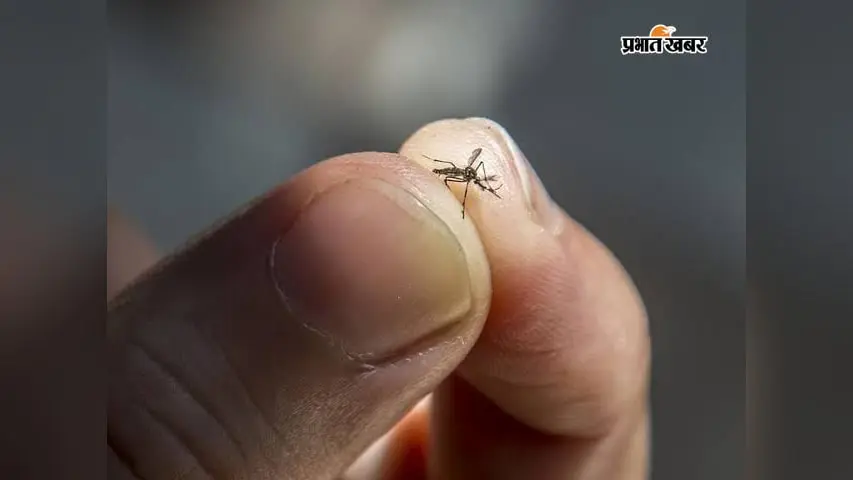 भागलपुर में डेंगू को लेकर स्वास्थ्य विभाग अलर्ट, निजी क्लीनिकों को निर्देश जारी