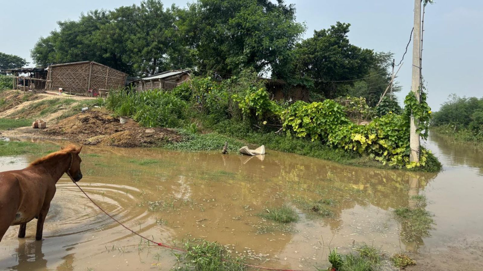 बेगूसराय में बाढ़ का दृश्य