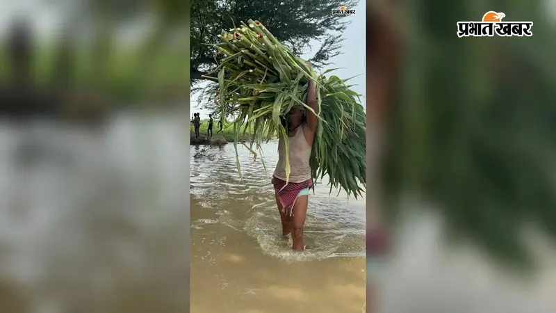 बेगूसराय में गंगा खतरे के निशान से ऊपर, आधा दर्जन प्रखंडों के दर्जनों गांवों में फैला बाढ़ का पानी