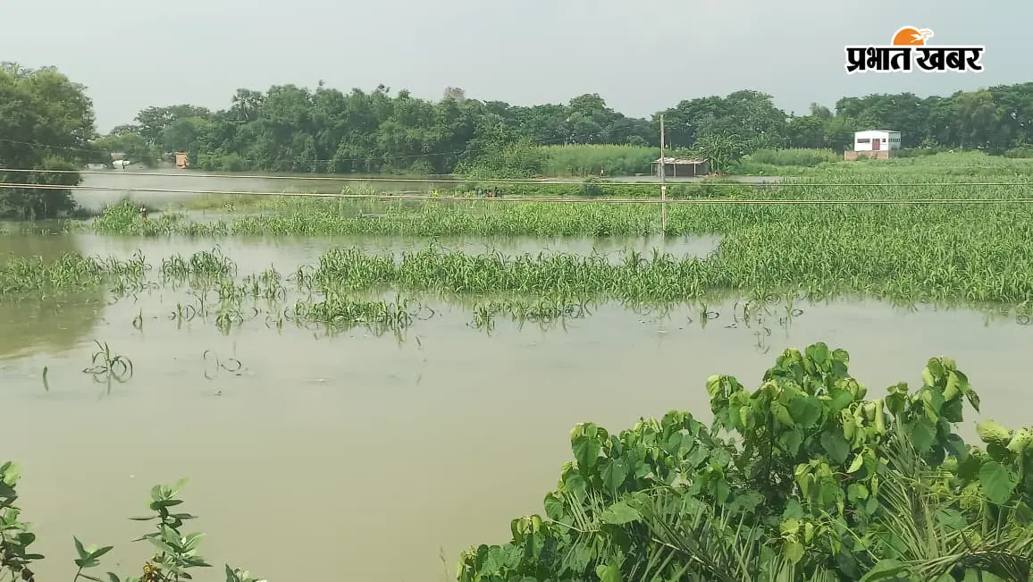 बेगूसराय: जमींदारी बांध टूटा,गंगा का पानी गुप्ता बांध की ओर बढ़ा,बछवाड़ा में हालात खराब