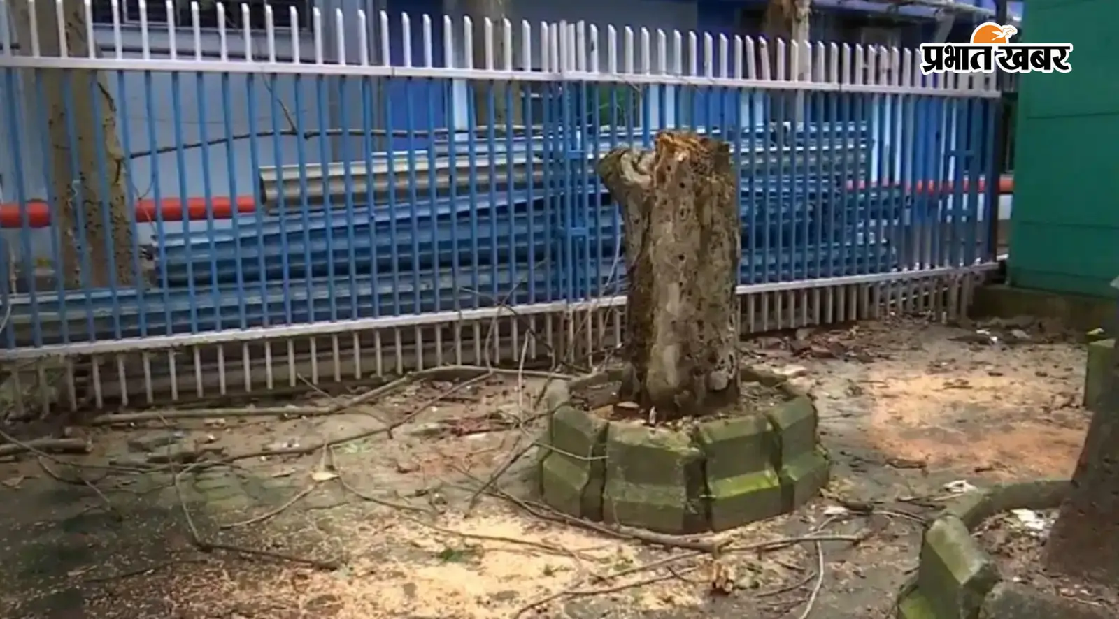 कोलकाता में हादसा, बारिश के बीच पेड़ गिरने से एक महिला की मौत, बच्चा समेत दो घायल