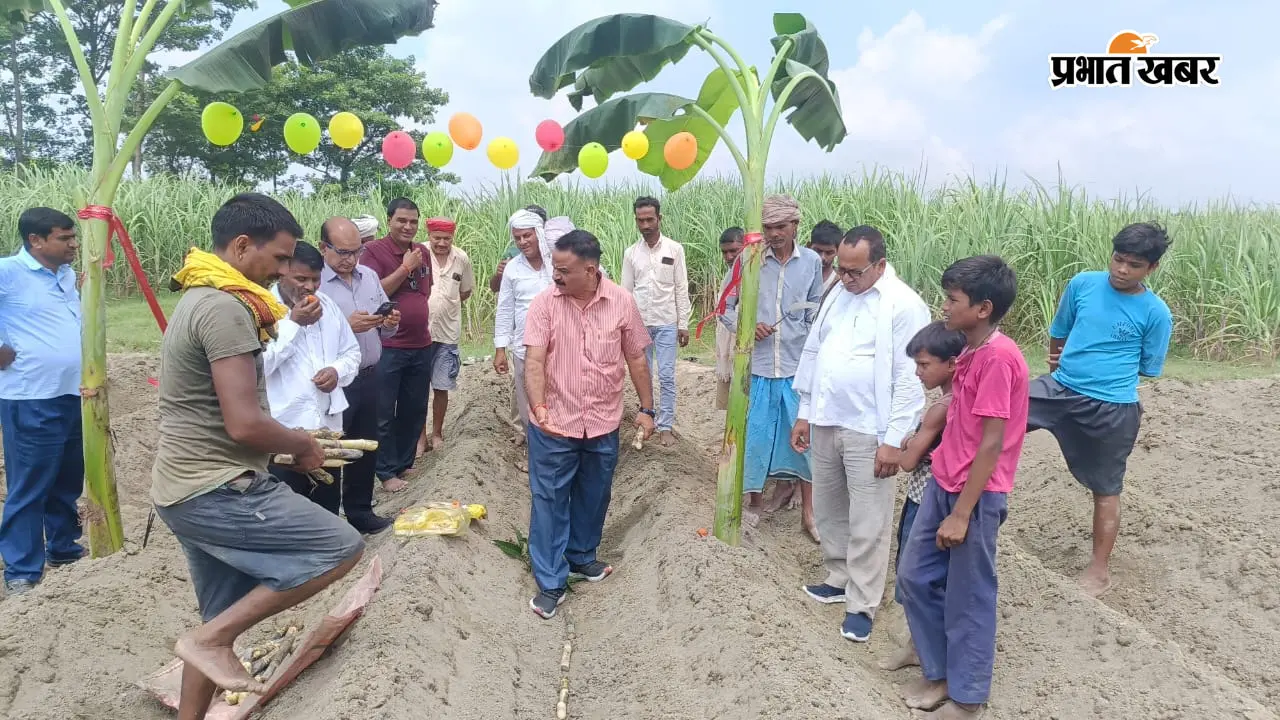 भारत शुगर मिल्स का मानसून गन्ना बुवाई अभियान शुरू: गमहारी में किसानों को बांटे गए उन्नत बीज और तकनीकी टिप्स