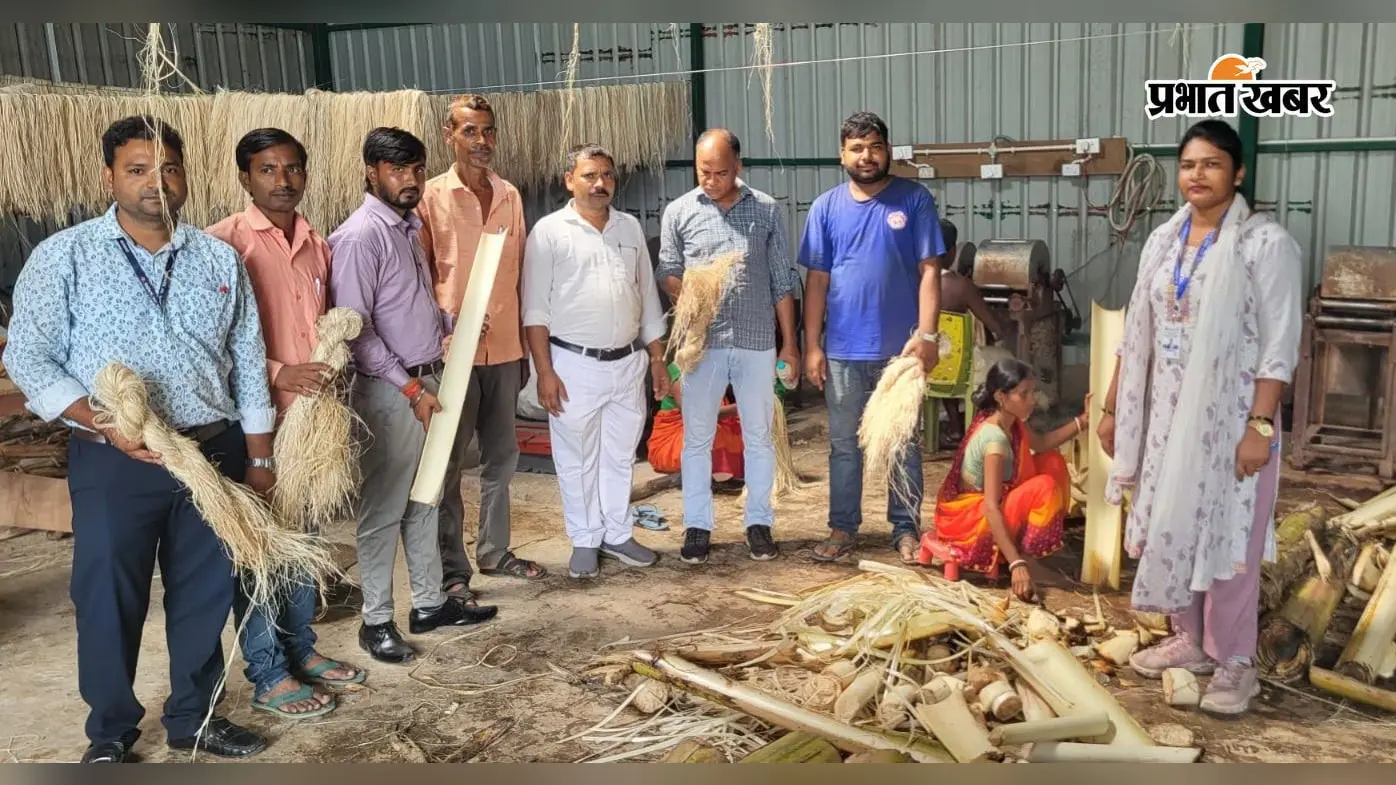 केले के तने से बनेगा रेशा, शिवहर के किसानों को आय बढ़ाने की नई तकनीक की मिली जानकारी