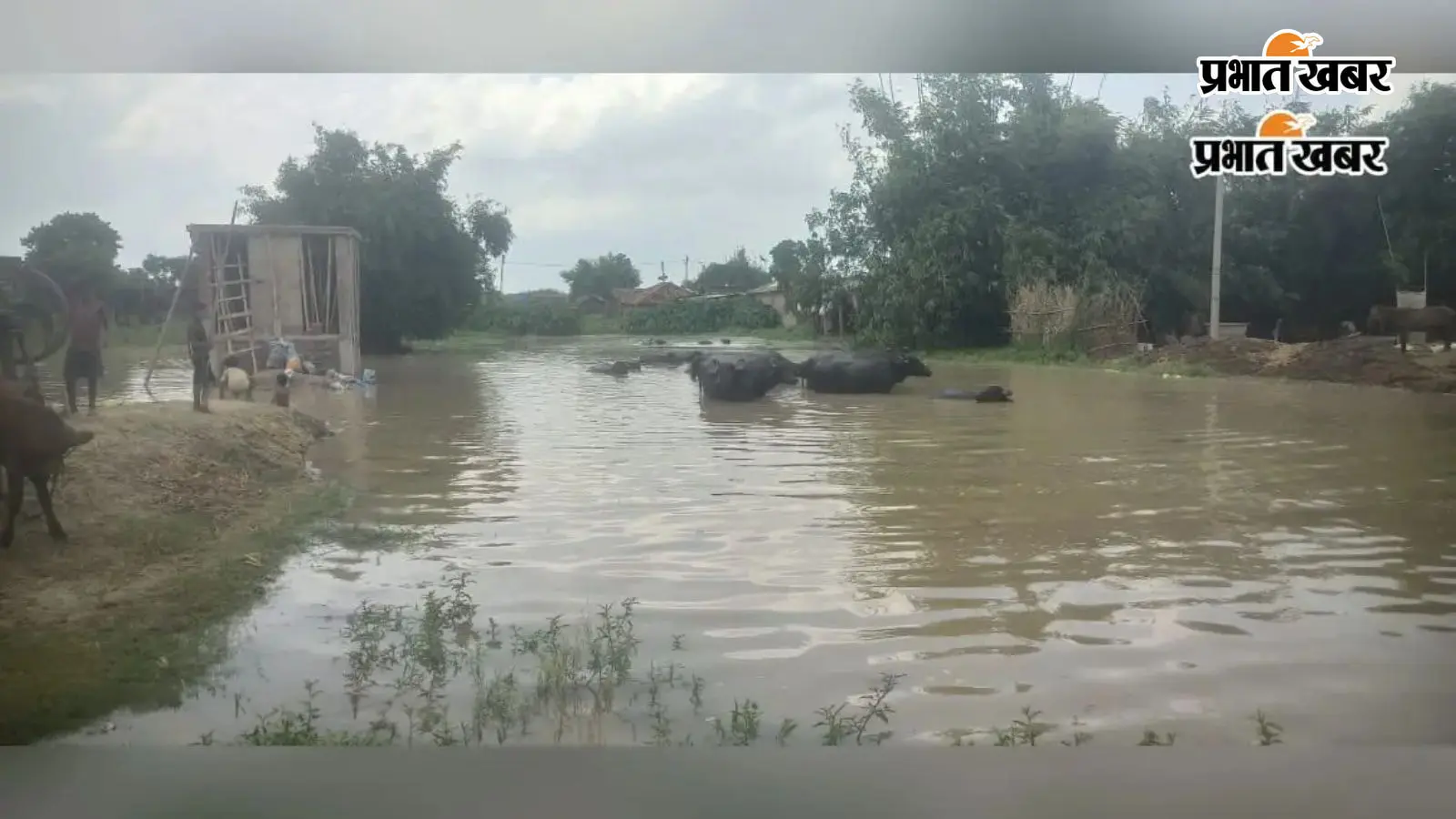 हथीदह में 24 घंटे में 14 सेंटीमीटर बढ़ा गंगा का जलस्तर, खतरे के निशान से 75 सेंटीमीटर ऊपर पहुंचा पानी
