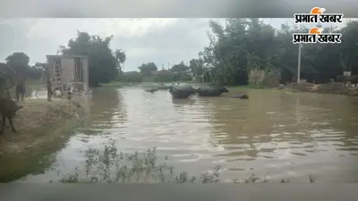 हथीदह में 24 घंटे में 14 सेंटीमीटर बढ़ा गंगा का जलस्तर, खतरे के निशान से 75 सेंटीमीटर ऊपर पहुंचा पानी