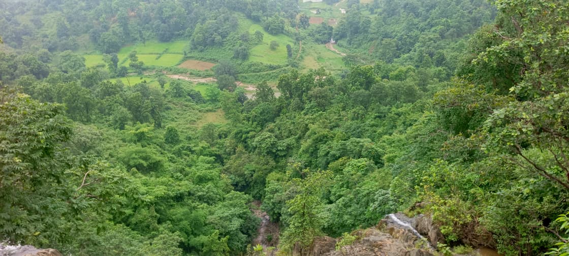 हरियाली से घिरा है क्षेत्र.