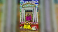 छपरा में झूलन उत्सव का शुभारंभ, जिला जज ने श्रीकृष्ण को झूला झुलाकर किया उद्घाटन