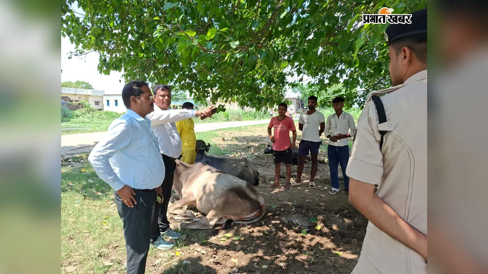 भोजपुर के बाढ़ प्रभावित किसानों के लिए बड़ी खबर, खेतों में फसल नुकसान का सर्वे शुरू
