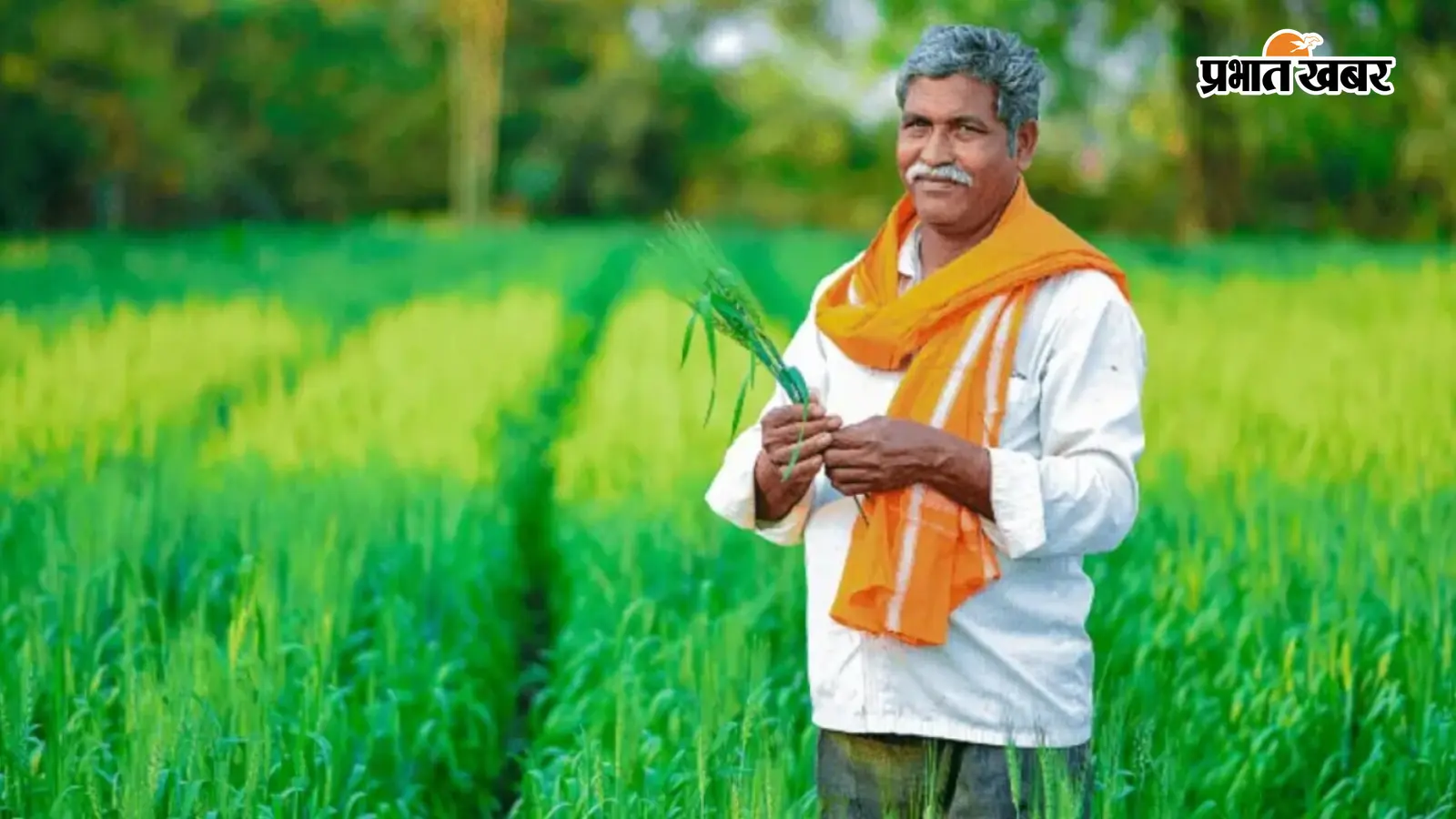 रक्षा बंधन पर आएगी पीएम किसान की 24वीं किस्त? सोशल मीडिया के दावे की क्या है सच्चाई