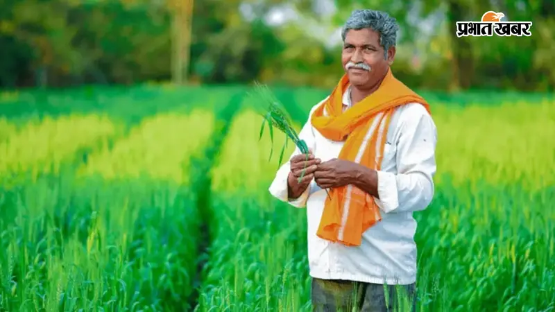 रक्षा बंधन पर आएगी पीएम किसान की 24वीं किस्त? सोशल मीडिया के दावे की क्या है सच्चाई