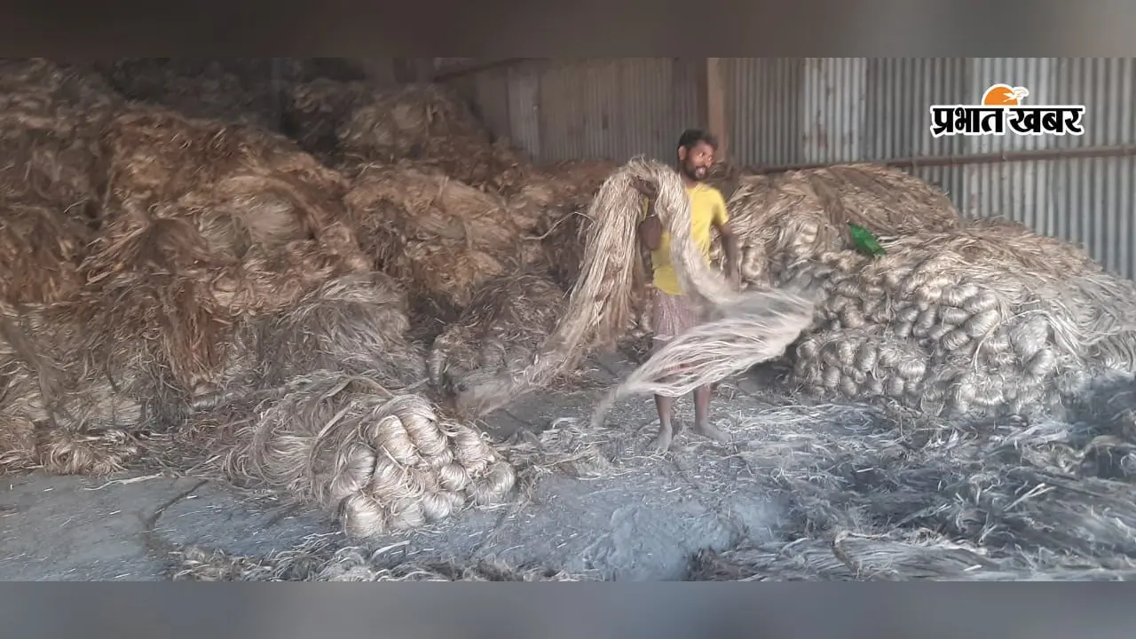 पूर्णिया गुलाबबाग मंडी: जूट बाजार में गरमाहट बरकरार, मक्के के भाव में हल्की नरमी; जानें आज के ताजा रेट