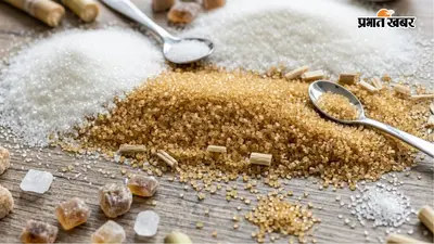 Sugar Price: 7 दिन में ₹11 महंगी हुई चीनी, जानें आपके राज्य में क्या है ताजा भाव