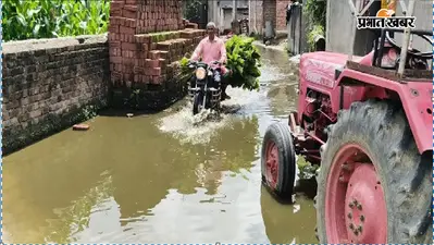 बारिश में जलजमाव से बेहाल नावाडीह के ग्रामीण, सड़क पर जमा पानी से आवागमन प्रभावित