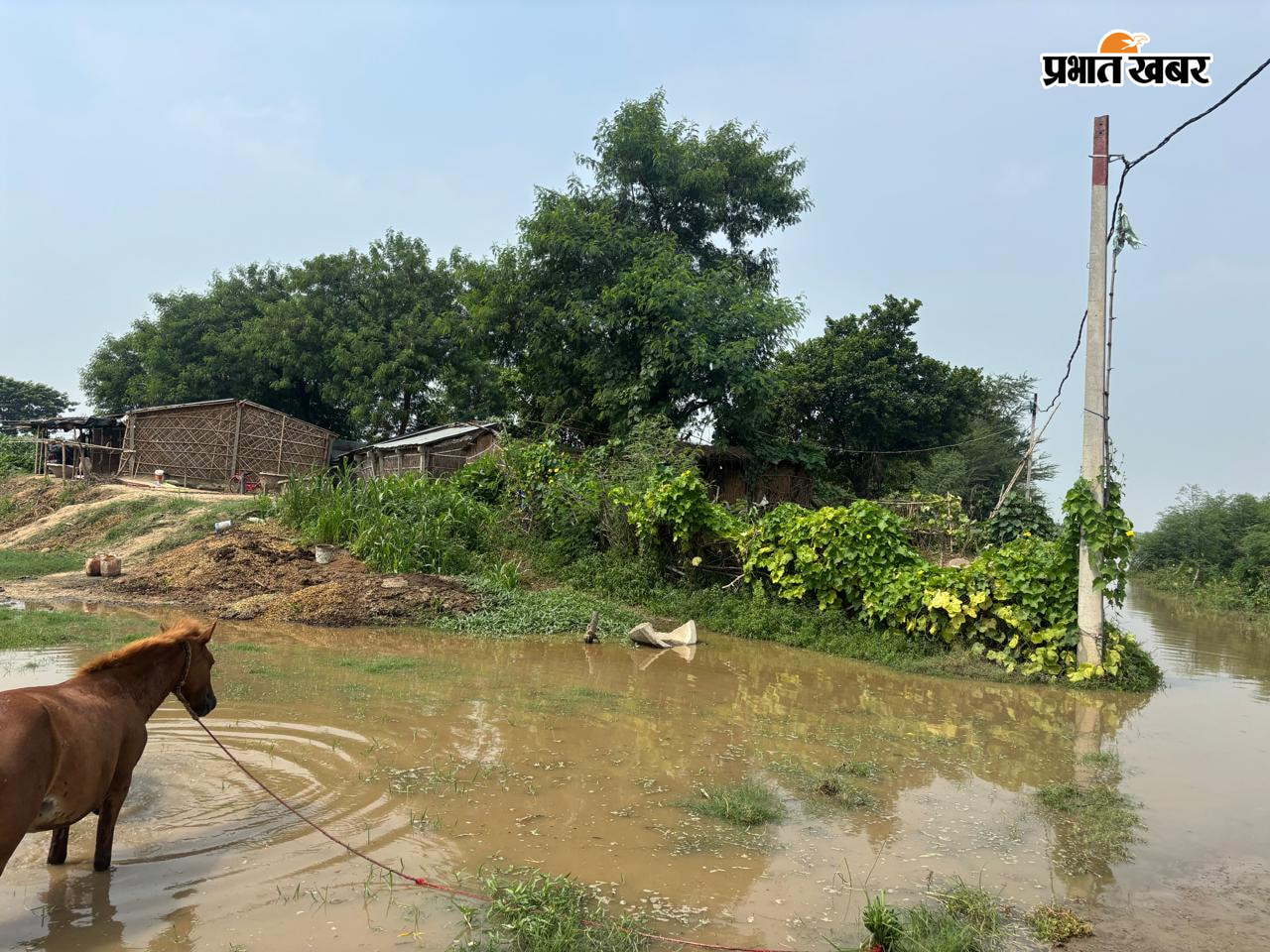 1 शाम्हो के गांवों में फैला गंगा का पानी 2 शाम्हो बिजुलिया पथ पर चढ़ा पानी 3 शाम्हो में घर के पास पहुंचा गंगा का पानी | Prabhat Khabar Network