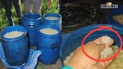 रसगुल्ला खाने से पहले रुकिए! UP के गाजियाबाद में मक्खियों और घातक केमिकल से बनी 10 कुंतल मिठाई पर चला चाबुक