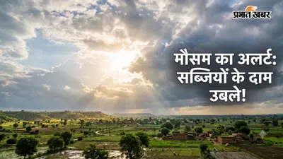 लखीसराय मौसम: 26 अगस्त को बारिश का IMD अलर्ट, जलस्तर बढ़ने से सब्जियों की फसल बर्बाद; बाजार में उछले दाम