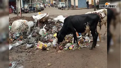 हजारीबाग में सफाई व्यवस्था की खुली पोल, कहीं कचरे का ढेर तो कहीं महीनों से उलटा पड़ा डस्टबिन
