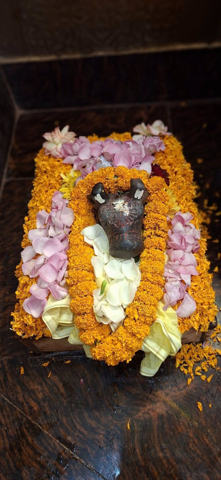 प्राचीन औघड़दानी मंदिर
