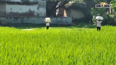 भारत-नेपाल सीमा पर यूरिया खाद की तस्करी की शिकायत, फोटो-वीडियो के आधार पर होगी जांच