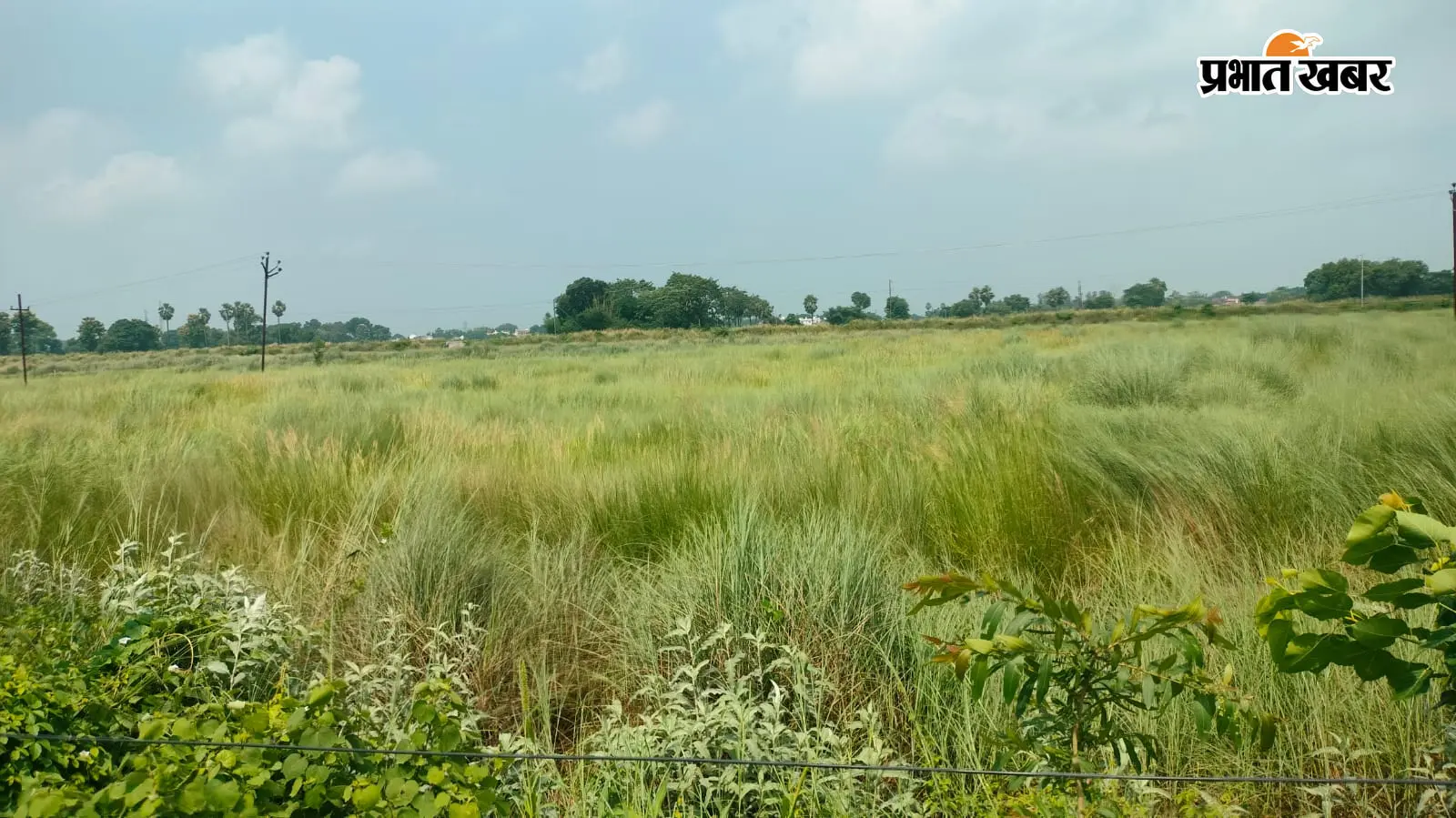 गोपालगंज के थावे में बनेगा बिहार बोर्ड का वज्रगृह और परीक्षा भवन, डेढ़ एकड़ जमीन की अनुशंसा
