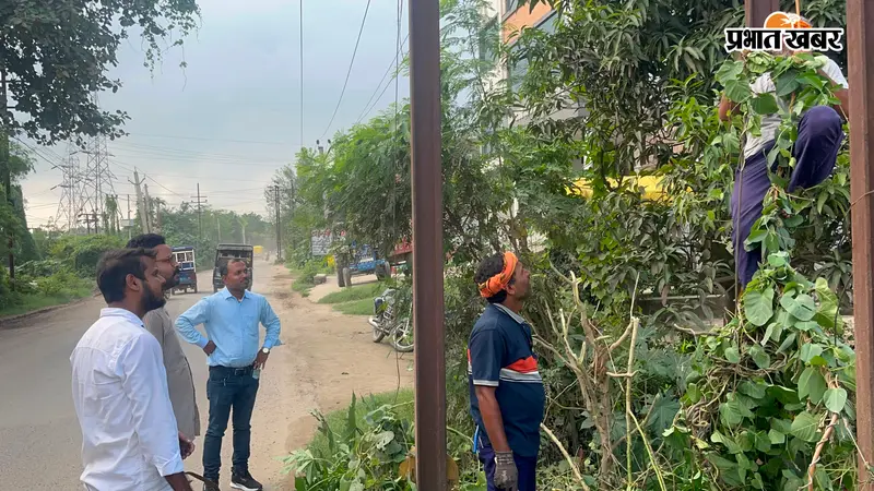 बक्सर: पेड़ों की टहनियों से खतरे में थी 33 केवी लाइन, बिजली विभाग ने कराया मेंटेनेंस