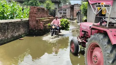 कोडरमा: बारिश में नावाडीह की सड़क बनी मुसीबत, वार्ड 7 में जलजमाव से घरों तक पहुंच रहा पानी