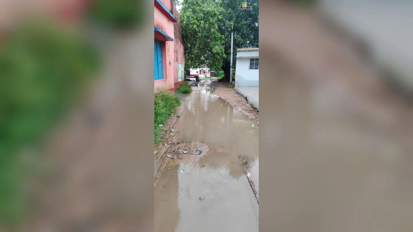 औरंगाबाद: 10 साल से बदहाल घोरहत गांव की मुख्य सड़क, जलजमाव और कीचड़ से ग्रामीण परेशान