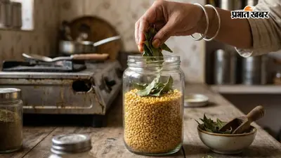 दाल में पड़ गए हैं घुन? डिब्बे में डाल दें ये एक चीज, लंबे समय तक रहेगी सुरक्षित