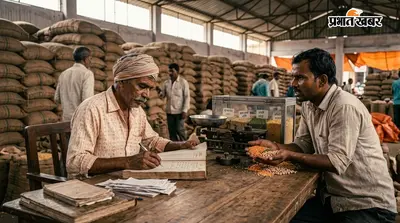 लखीसराय मंडी भाव : दाल, अनाज और खाद्य सामग्री के आज के ताजा रेट