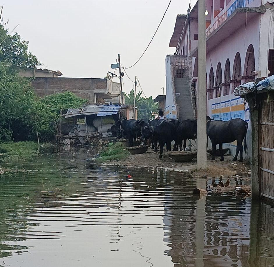 यूएमएस सरायपुर में बाढ़ का पानी