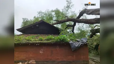हंसाबेड़ा में इमली का पेड़ गिरने से दो मकान ध्वस्त, जानें कैसे बचे ग्रामीण
