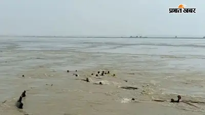 नवगछिया के राघोपुर में कटाव निरोधी कार्य के दौरान मजदूरों से भरी नाव डूबी, मचा हड़कंप
