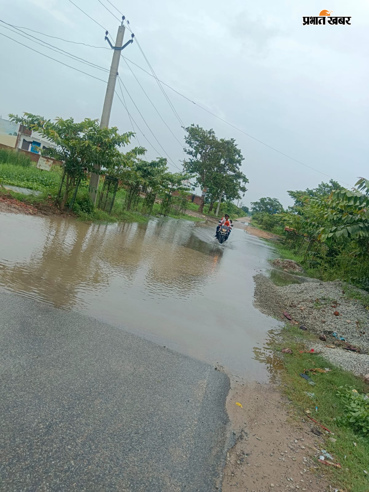 फोटो -बम्हौर के सिवान में जलमग्न धान के खेत. फोटो -शिवसागर स्टेशन जाने वाली सड़क पर बहता पानी. | Prabhat Khabar Network