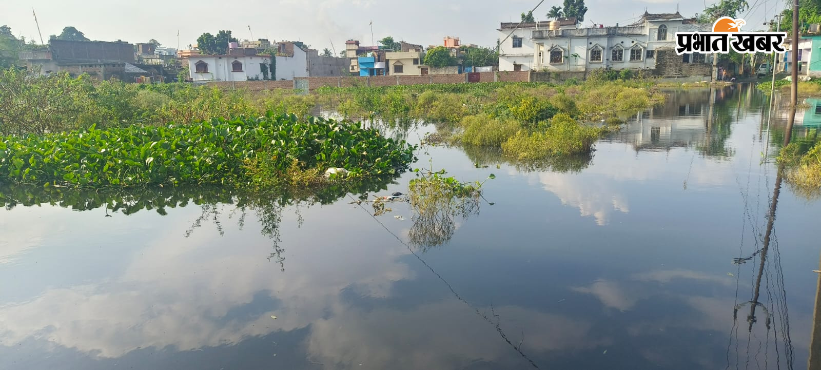 फोटो नं 26 एसबीजी 28,29,30,31,32,33 हैकैप्सन - बुधवार को हरिपुर व अली नगर फैला बाढ का पानीहरिपुर व अली नगर फैला बाढ का पानीहरिपुर व अली नगर फैला बाढ का पानीहरिपुर व अली नगर फैला बाढ का पानीहरिपुर व अली नगर फैला बाढ का पानीहरिपुर व अली नगर फैला बाढ का पानी | Prabhat Khabar Network