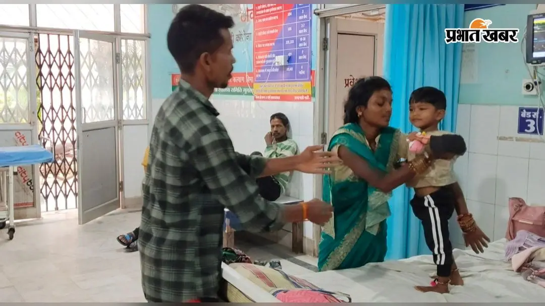 मच्छरदानी के अंदर घुसा सांप, दो साल की बच्ची को डसा
