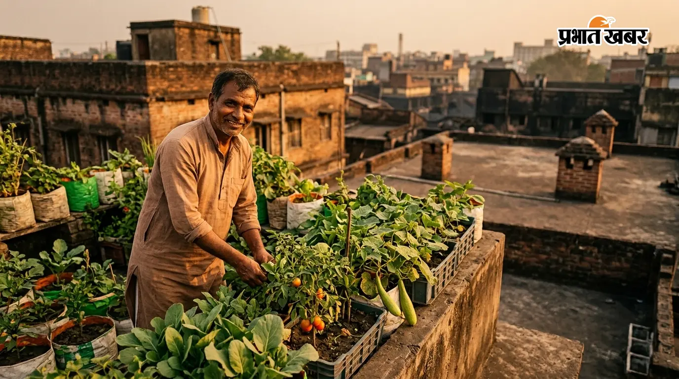 अब घर की छत पर उगाएं सब्जियां, धनबाद में उद्यान विभाग की नई पहल