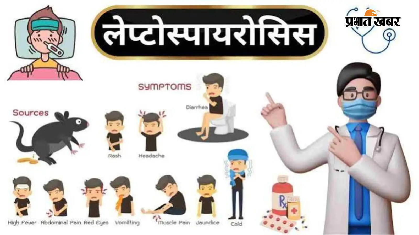 भागलपुर: बाढ़ और जलजमाव के बीच जानलेवा 'लेप्टोस्पायरोसिस' का मंडराया खतरा, स्वास्थ्य विभाग का हाई अलर्ट; रैपिड रिस्पांस टीम तैयार