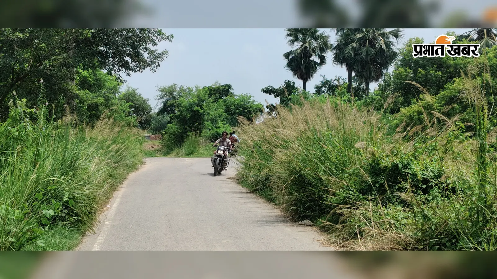 सावधान! गोपालगंज के कटेया की सड़कों पर झाड़ियों के कारण नहीं दिख रहे वाहन, हादसे के बाद ग्रामीणों का फूटा गुस्सा