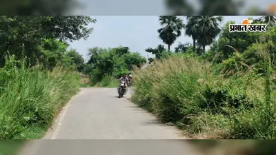 सावधान! गोपालगंज के कटेया की सड़कों पर झाड़ियों के कारण नहीं दिख रहे वाहन, हादसे के बाद ग्रामीणों का फूटा गुस्सा