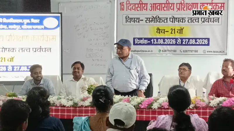 बेतिया:  खेत में ज्यादा यूरिया डालने से पहले सोचिए! वैज्ञानिक ने बताया कैसे घटेगी लागत और बढ़ेगा उत्पादन