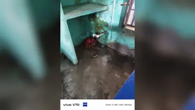 प्राथमिक विद्यालय का ताला तोड़कर चोरी, दो मोटर-पंखे और एमडीएम का चावल ले गए चोर