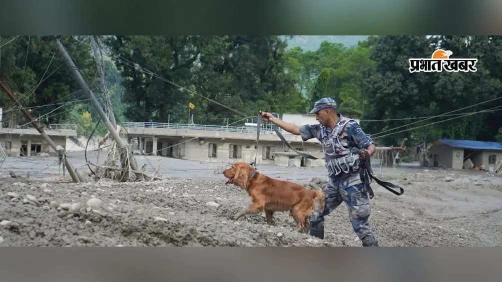 नेपाल बाढ़: 289 शव बरामद, मलबे में शवों की तलाश कर रहे खोजी कुत्ते
