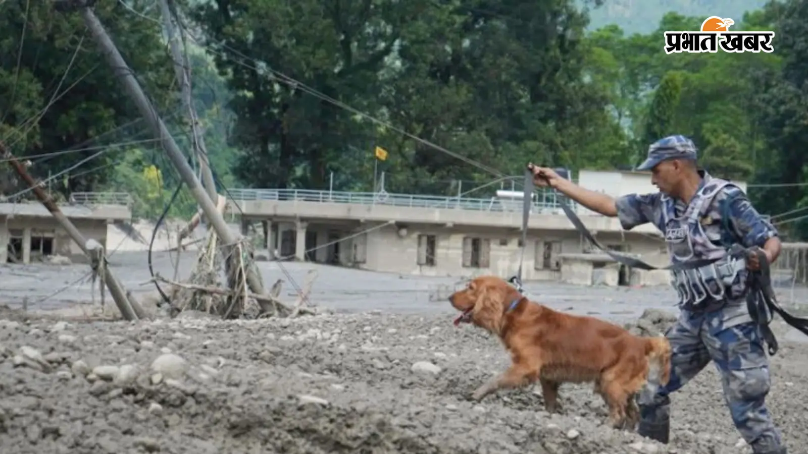 Nepal Flood : रसुवा में अब तक 289 शव बरामद, शवगृहों की कमी और पहचान बनी बड़ी चुनौती