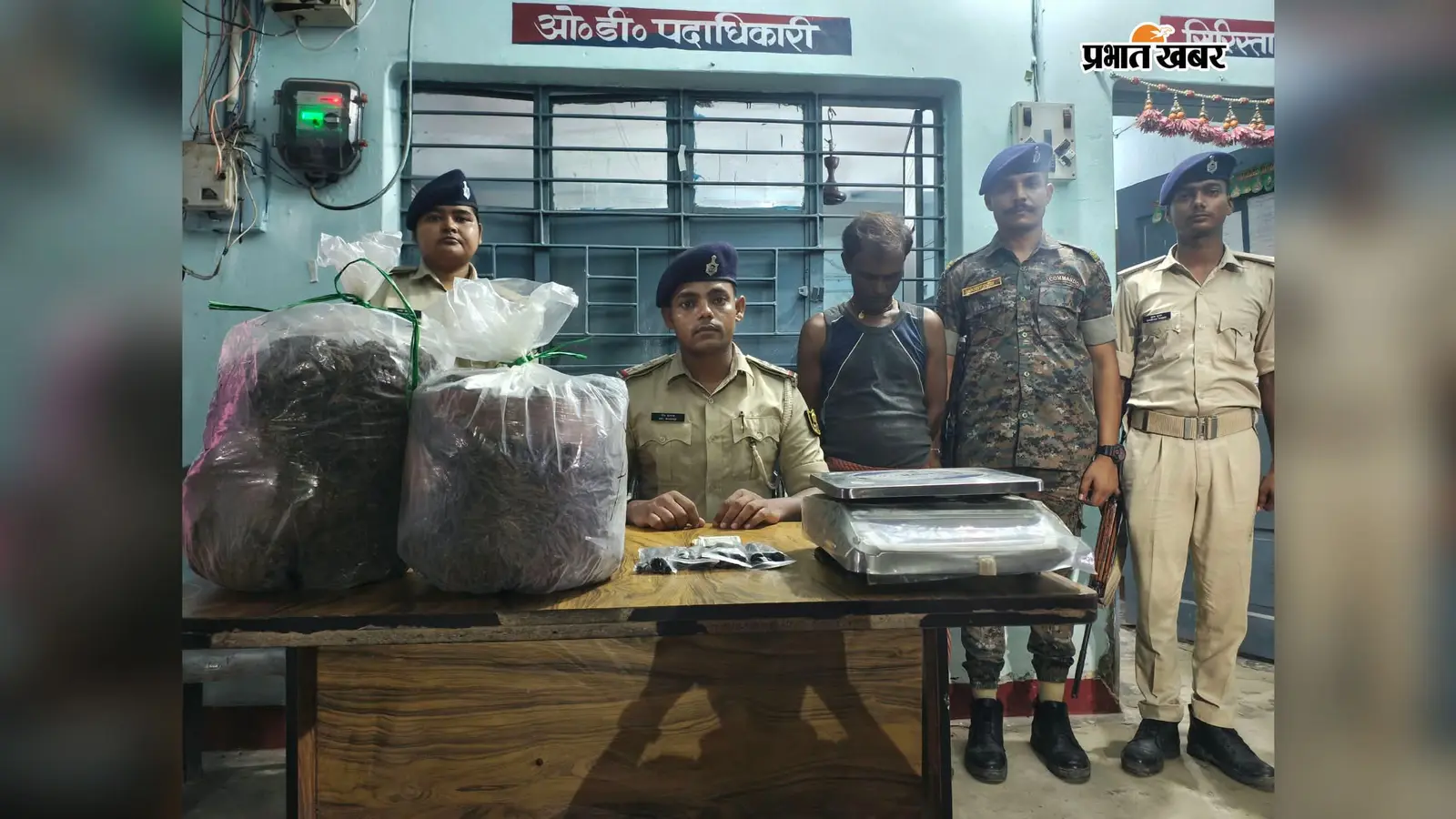 आबादपुर में गांजा के अवैध कारोबार का खुलासा, 14.646 किलो गांजा के साथ एक गिरफ्तार