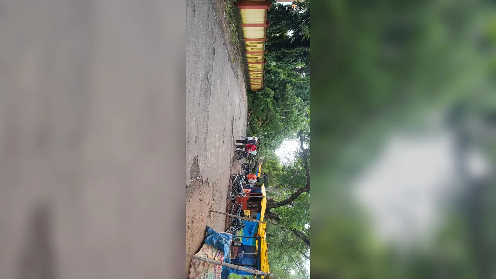 चलती बाइक पर काल बनकर गिरा विशाल पेड़.. पढ़ें आगे क्या हुआ